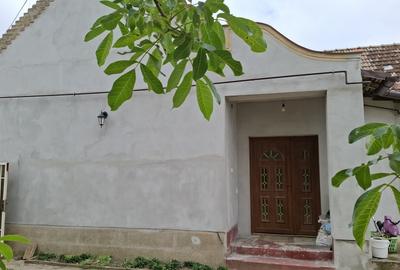 Casa 3 camere  recent renovata in Nadlac - 17