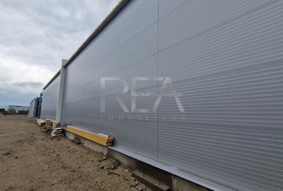 Hale depozitare/productie deschidere la Centura\Chitila - 7