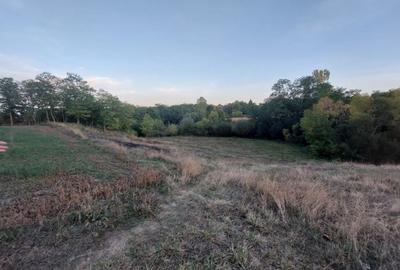 Casa batraneasca bine intretinuta in Bahna - 14