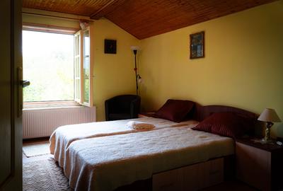 De vanzare Casa + teren 2500mp calitate deosebita - 10