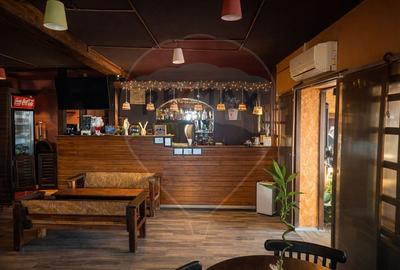 Popasul Căprioara – oportunitate de business în horeca & turism - 1