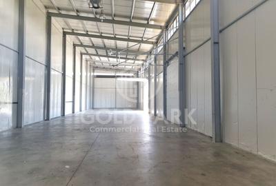 Spatiu Industrial-Hala-Zona Autostrazii-Birouri/Curte Betonata/Rampa - 3