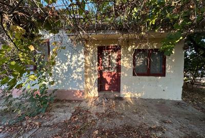 Casă cu teren de 2.000 mp în Nănești, Vrancea – aproape de baltă pescuit - 4