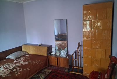 Casă tradițională cu teren generos – Borosteni, Peștișani, jud. Gorj - 6