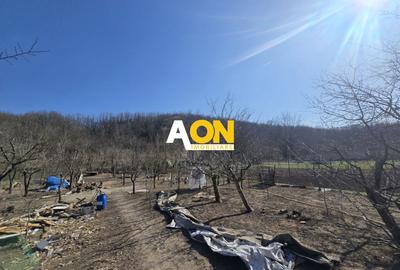 Casa 3 Camere Sat Ciugud, 1500mp Teren - 1