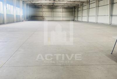 Hala noua ||zona Lidl - 2