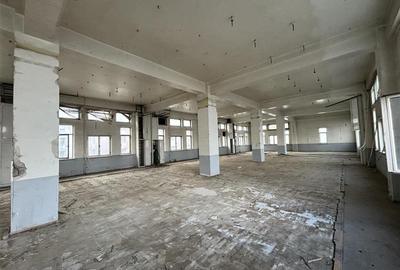 Vanzare spatiu industrial/cladire birouri Rahova - Margeanului, Bucuresti - 13