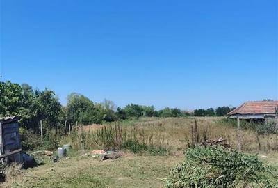 Teren Construcții intravilan de 2500 mp, în Paleu