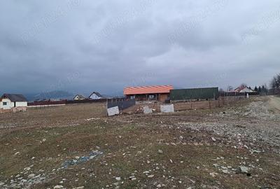 Teren intravilan 1450 mp – Carpiniș , Ideal pentru casă de locuit - 6