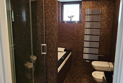 Inchiriere 4 camere lux - Central Park - 10
