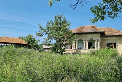 Casa traditionala intr-o zona de vis pe langa Curtea de Arges - 7