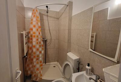 Cameră la  Vilă în Copou Sararie  CUZA UMF Agronomie - 5