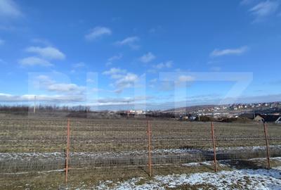 Cabana de lemn cu  700mp intravilan, Ciurea - 2