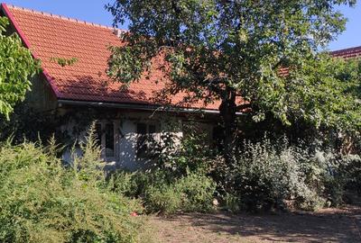 Casă în locație exclusivă, cu vedere spectaculoasă la Dunăre și 6 hectare - 3
