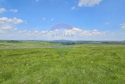 Teren Ilisesti  7000mp extravilan/ DN 17, Suceava - 10