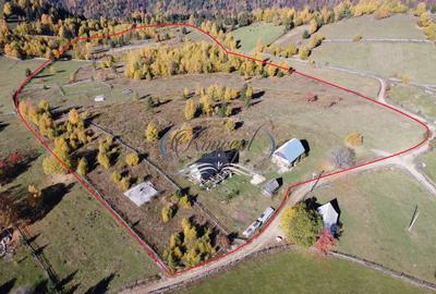 Teren Construcții intravilan de 66000 mp, în Măguri