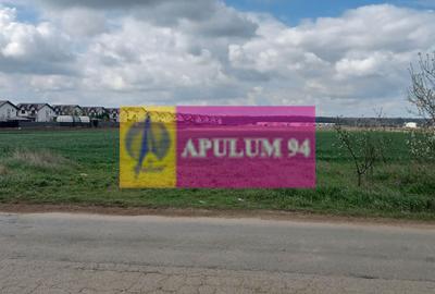 Teren Construcții intravilan de 1000 mp, în Săbăreni