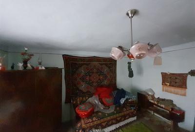 Casa traditionala cu anexe si gradina,Zona Nasaud - 2