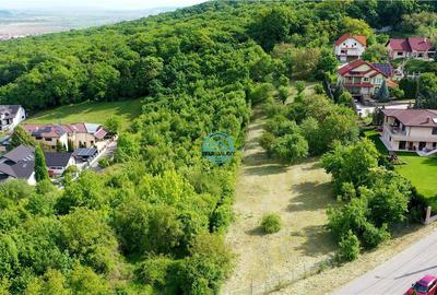 Ocazie Unica - Teren la Platoul Cornesti la doar 134 euro + TVA ! - 1464 mp - 2