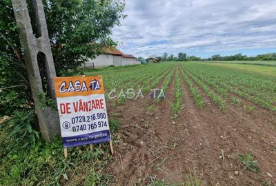 Teren Construcții intravilan de 7500 mp, în Bălești