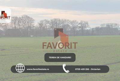 Teren in Sacalaz | Toate utilitatile | Cu proiect  | Casa Indiv | - 1