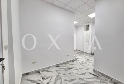 AX1198 Blascovici, Strada Maslinului, Spatiu Comercial, Comision 0% - 14