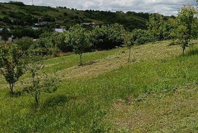 Teren intravilan Vorovești - 5