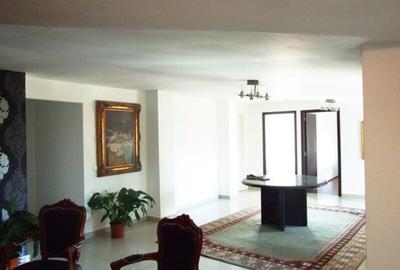Vila Interbelica in stil Baroc | Unirii / Budapesta | Oportunitate Investitie - 11