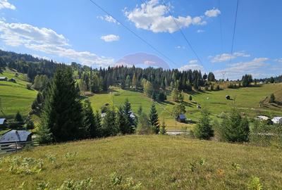 Casă / Vilă de vacanta in Dorna Arini, Suceava - 53