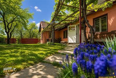 Casa in inima statiunii Covasna, cu gradina, vie si pomi fructiferi - 1