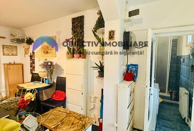 Apartament 1 camera cu terasa si gradina - Darmanesti - 11