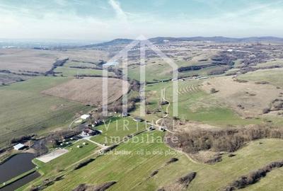 Teren de vanzare in Sibiu 67.500 mp, extravilan, Dealul Daii - 1