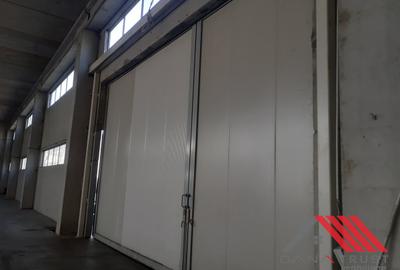 Hala depozitare  - Logistica  C. Lugojului acces TIR - 4
