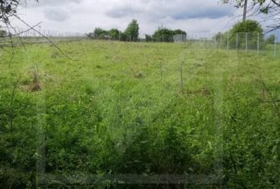 Casa noua si teren mare la 40 min de Cluj-N, Livada(Petrestii de Jos) - 7