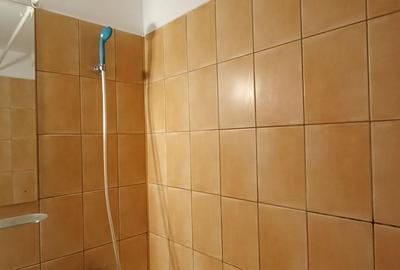 Brancoveanu -Garsoniera -Bloc mixt - 6