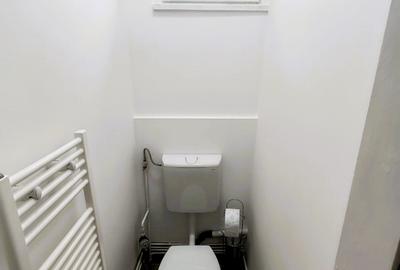 Apartament de închiriat, 1 cameră, 30 mp, zona Horea - 12