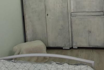 Apartament cu 3 camere de vanzare, etaj 2, - Micalaca - 3