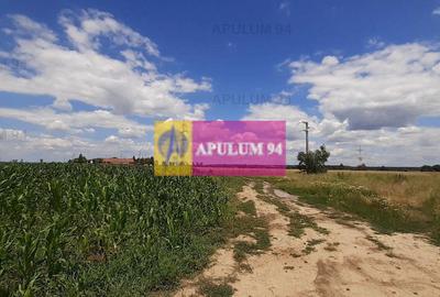 Teren 715mp în Snagov lângă Equestria - 47