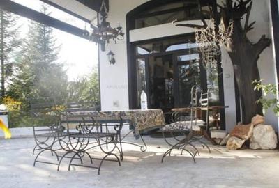 Vila Snagov-Izvorani - 11