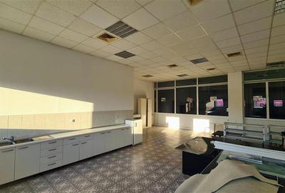 Spatiu show room, 1500 mp , parcare , Calea Lugojului - 8