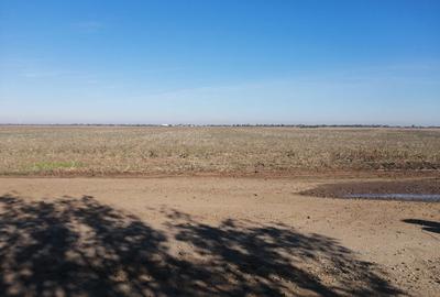 Teren Adunatii Copaceni - 1