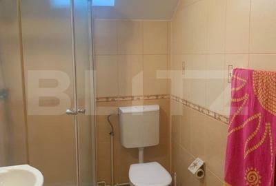 Casa la cheie, teren 2800 mp, Jucu de Sus - 11