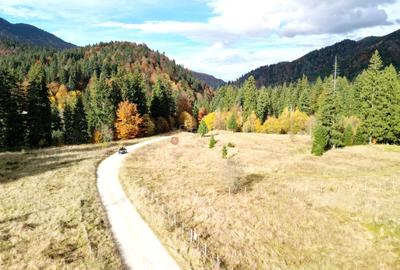 Poiana lui Manole - teren Intravilan - 10