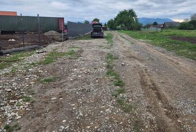 Teren intravilan 1450 mp – Carpiniș , Ideal pentru casă de locuit - 4