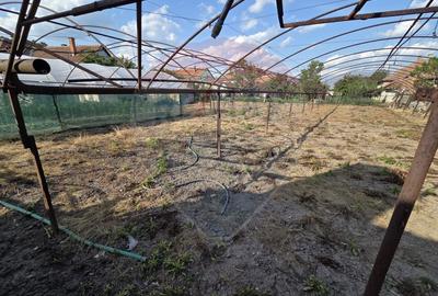 Casă cu gradina si solarii de legume - 18