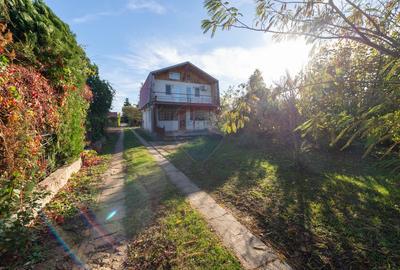 Casa cu 4 camere de vanzare Domnesti - 1
