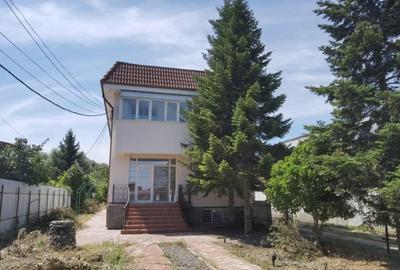 Vila S+P+1 teren=1438 mp, 367mp construiti Varsatura - 32