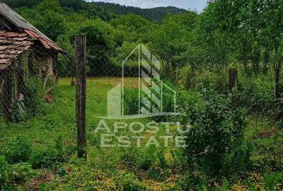 Casa batraneasca de vanzare, 4 camere, in Hunedoara, sat Micanesti - 31