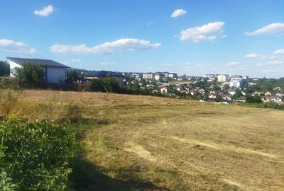 Teren Valea Adinca cod 160914 tel 0731226666 - 3
