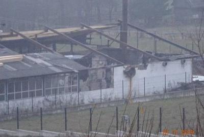 Teren intravilan 1.000 mp + hala debitare si hala prelucrare lemn - 7